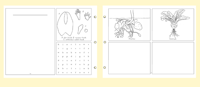 example-Nature-Portfolio-notebooking-pages