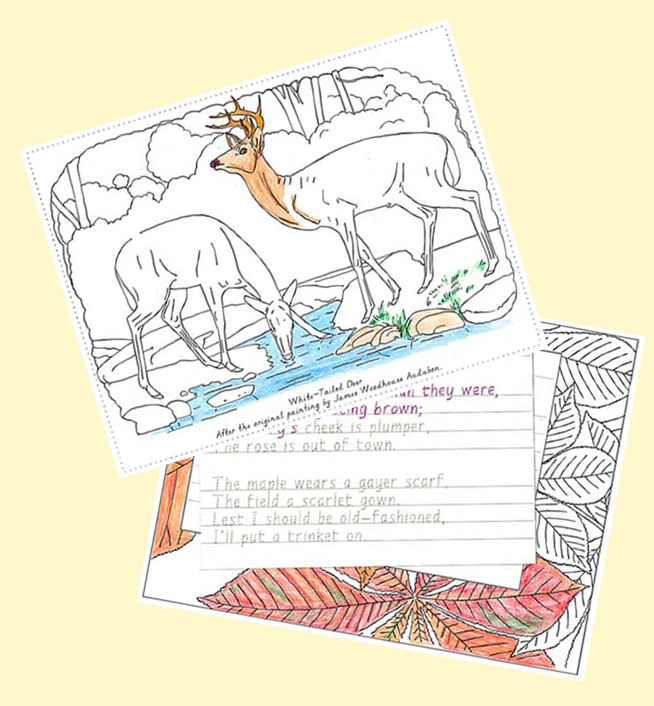 examples-Nature-Portfolio-coloring-poetry